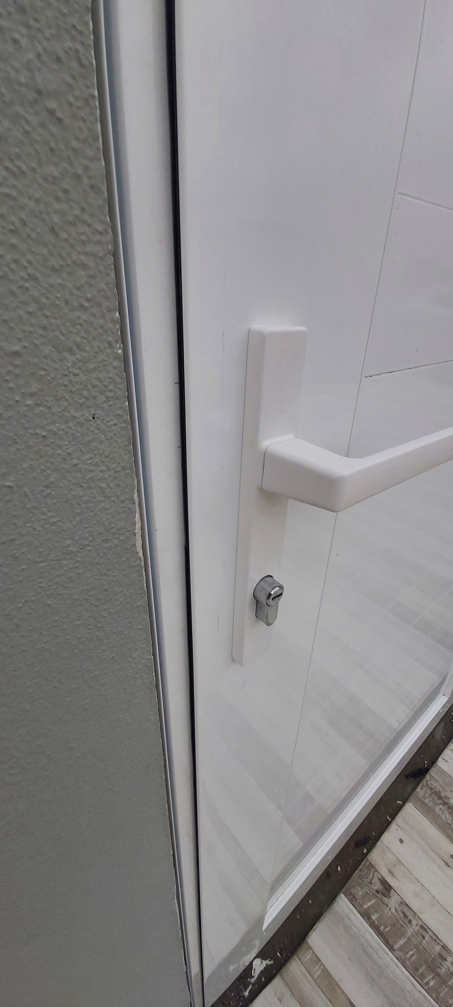 Panel Door (R) (P01) photo 5
