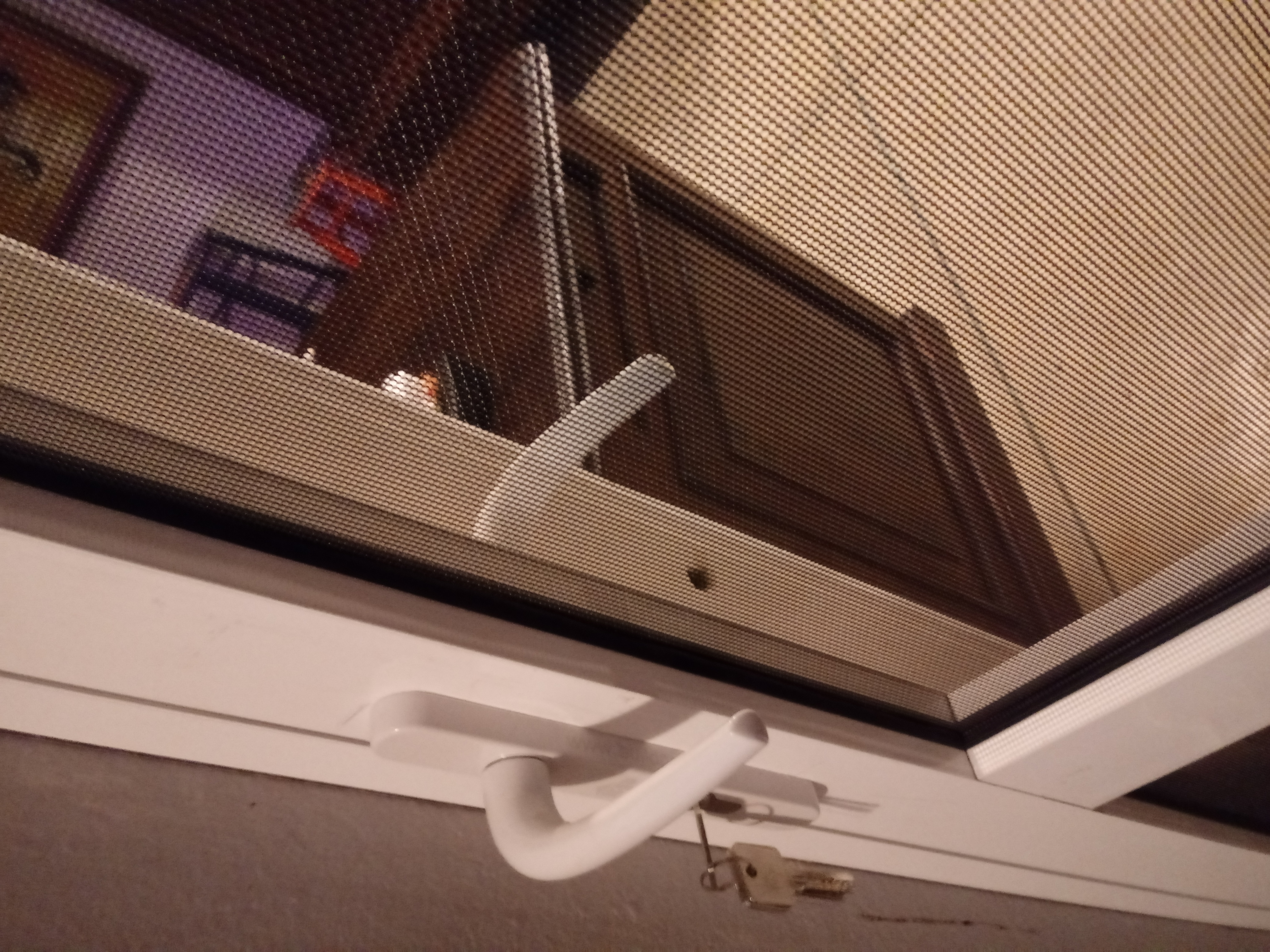 Insect Screen (R) (P01) photo 2